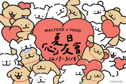 巨萌汪出沒注意— MALTESE X YOHO 夏日心友會